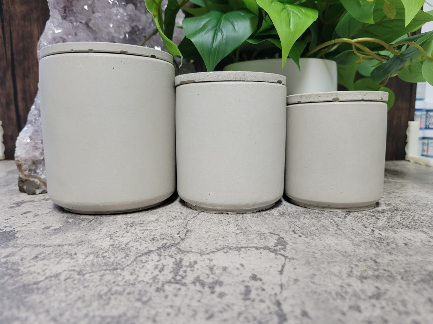 12oz. Aura Type Concrete Container with lid