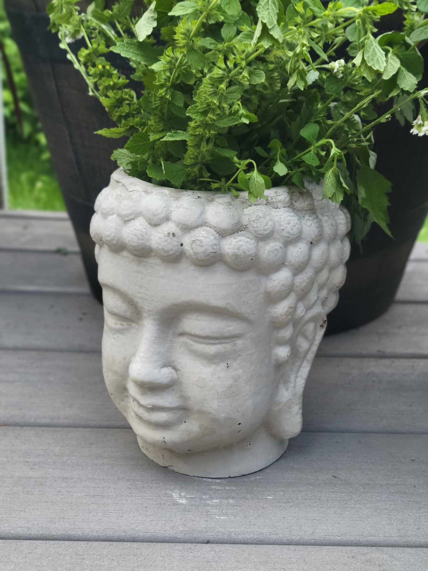 Buddha Planters