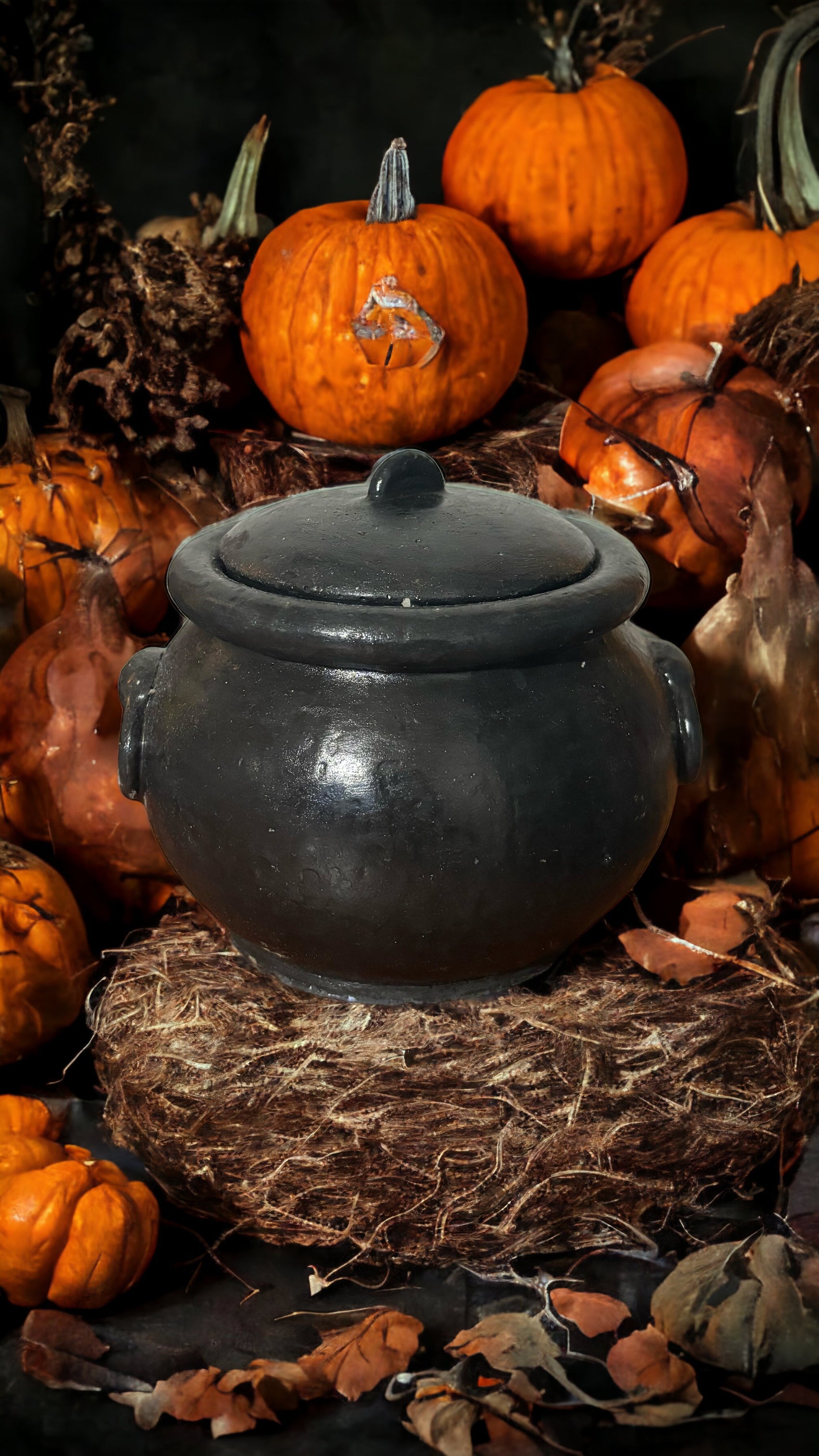 12oz Cauldron Candle