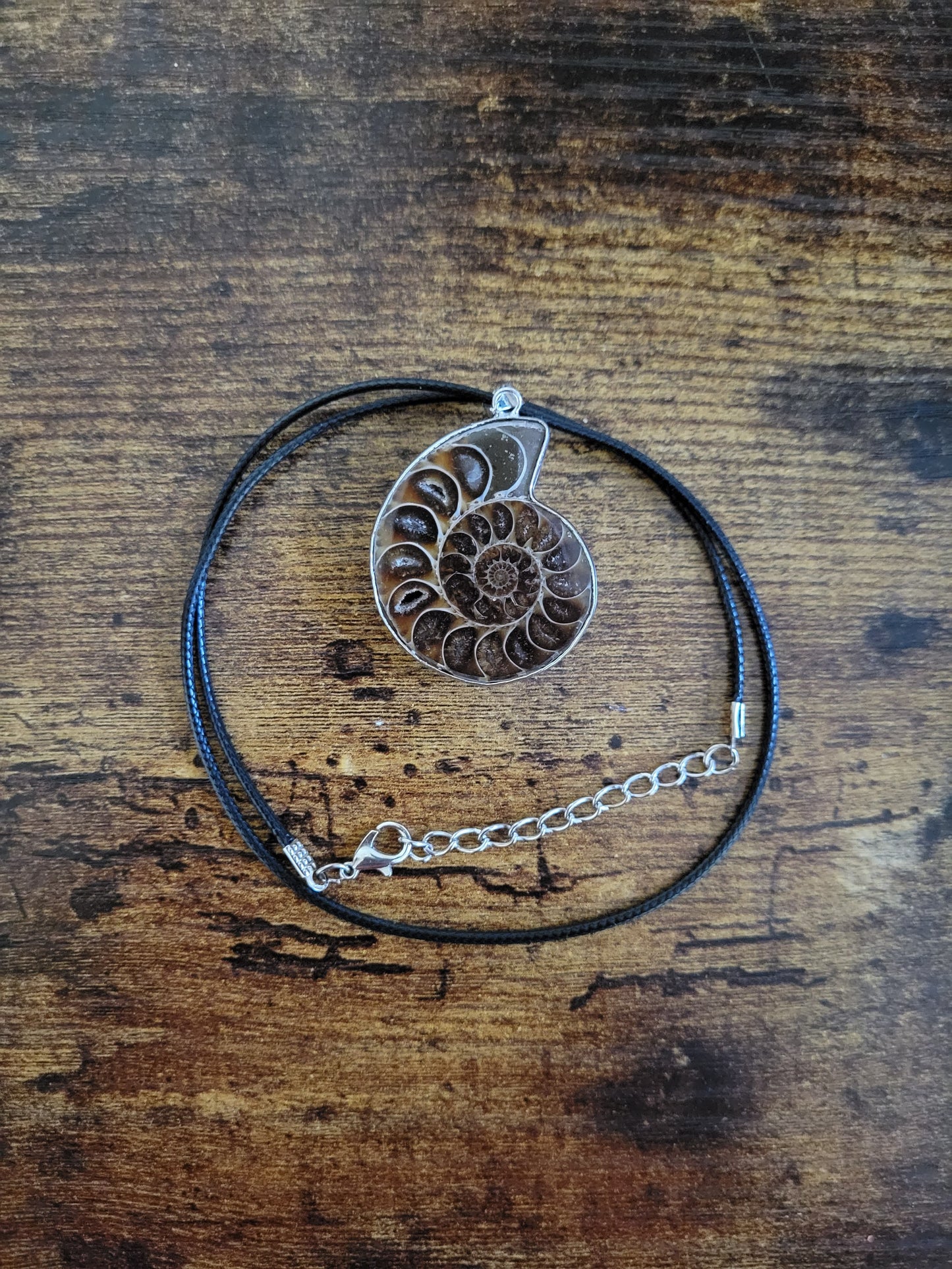 Ammonite Pendant