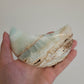 Caribbean Calcite Moon