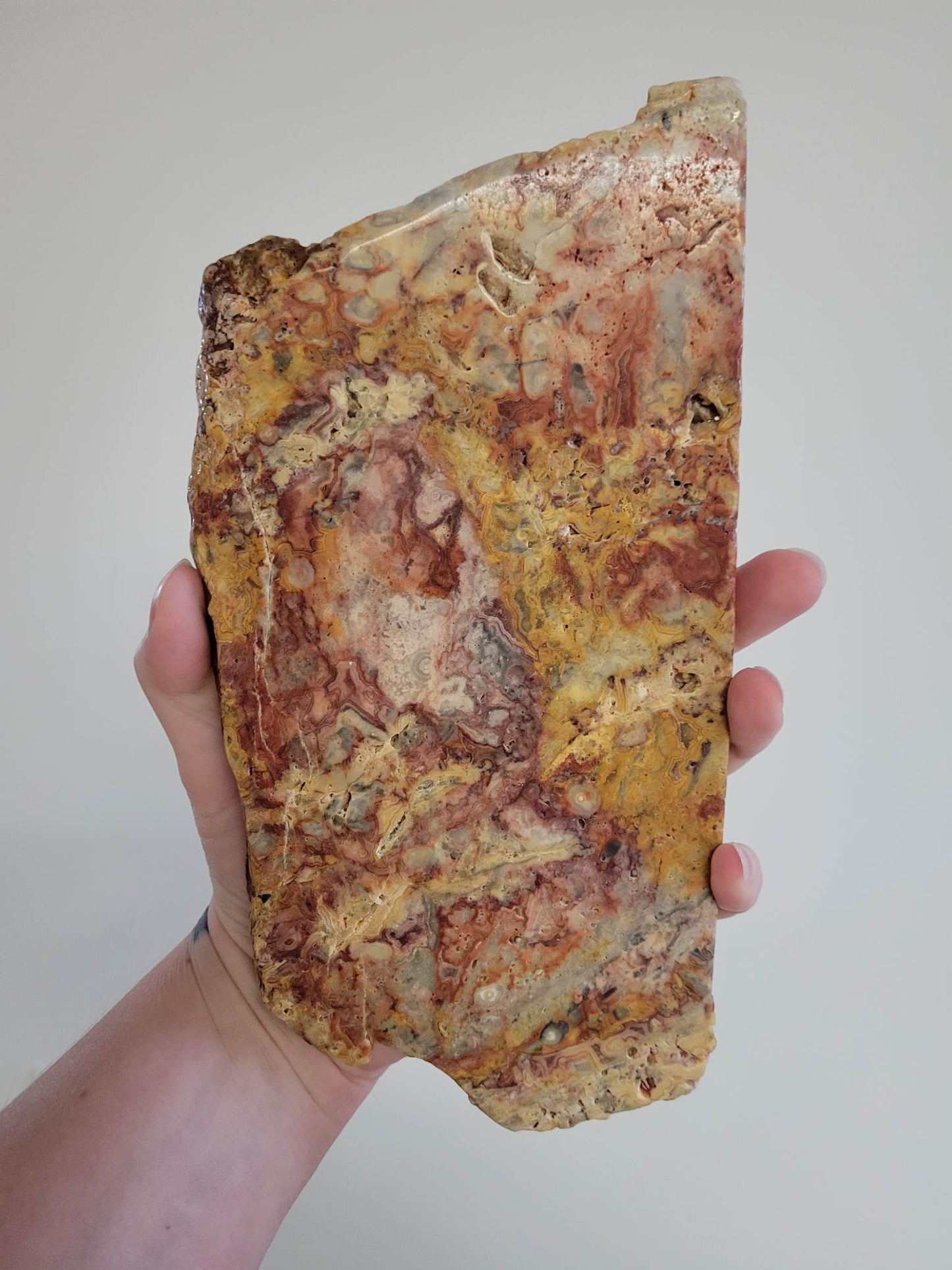 Large Crazy Lace Agate Slab