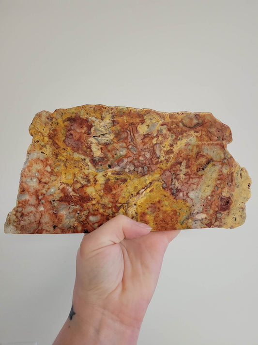 Large Crazy Lace Agate Slab