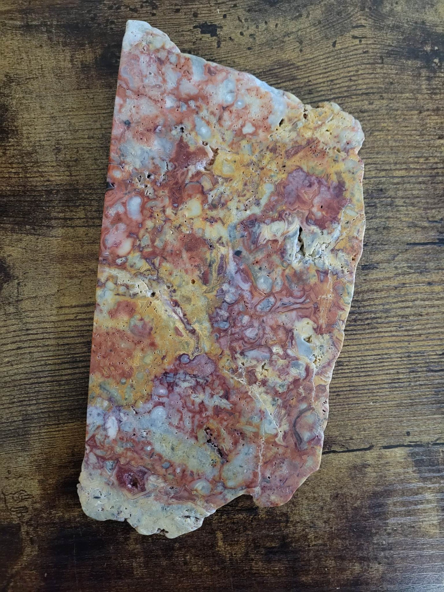 Large Crazy Lace Agate Slab