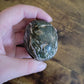 Ocean Jasper Palm