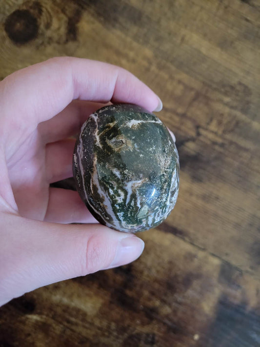 Ocean Jasper Palm