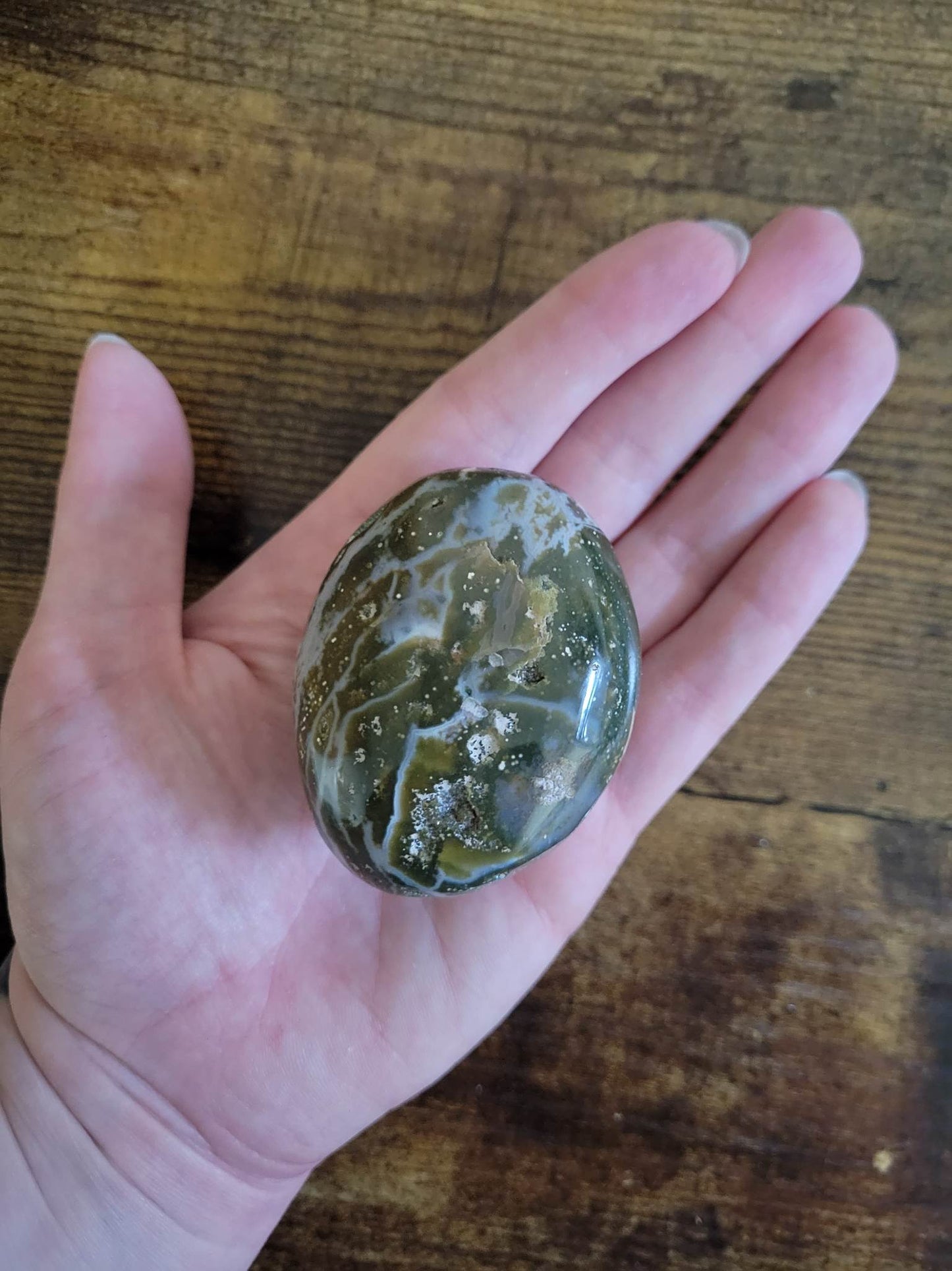 Ocean Jasper Palm