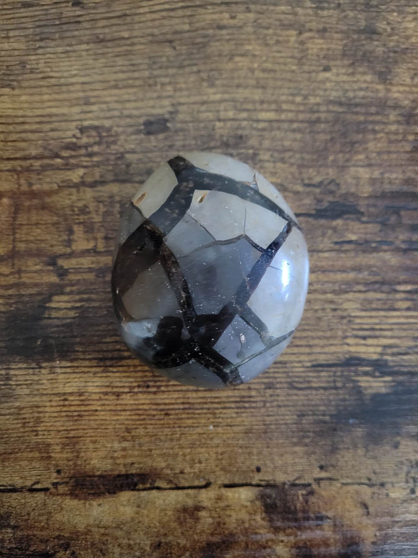 Septarian Egg