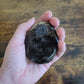 Septarian Egg