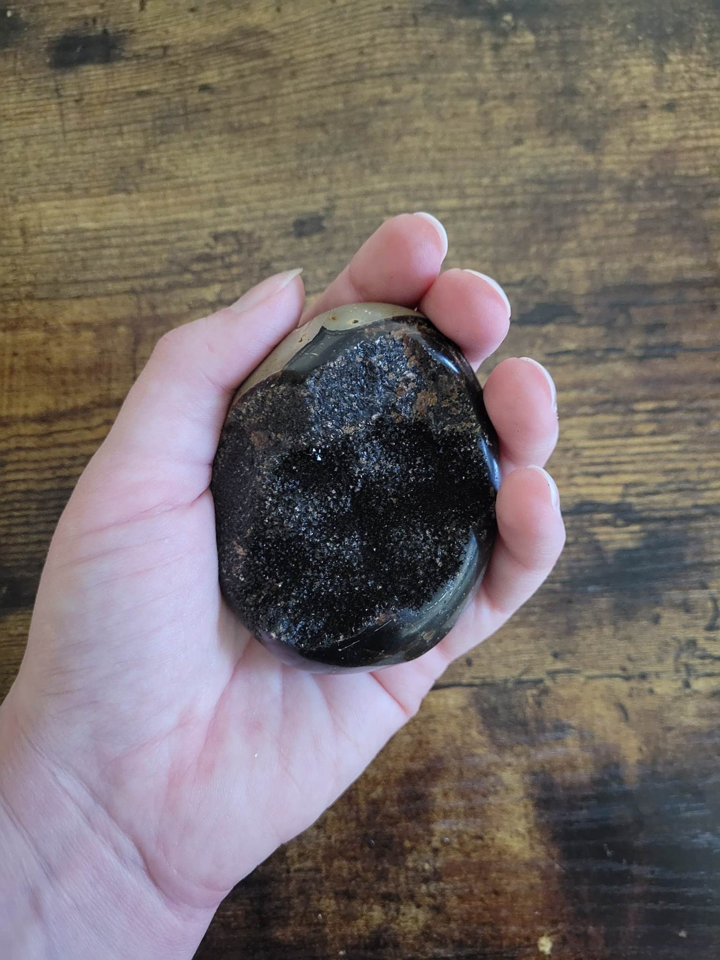 Septarian Egg